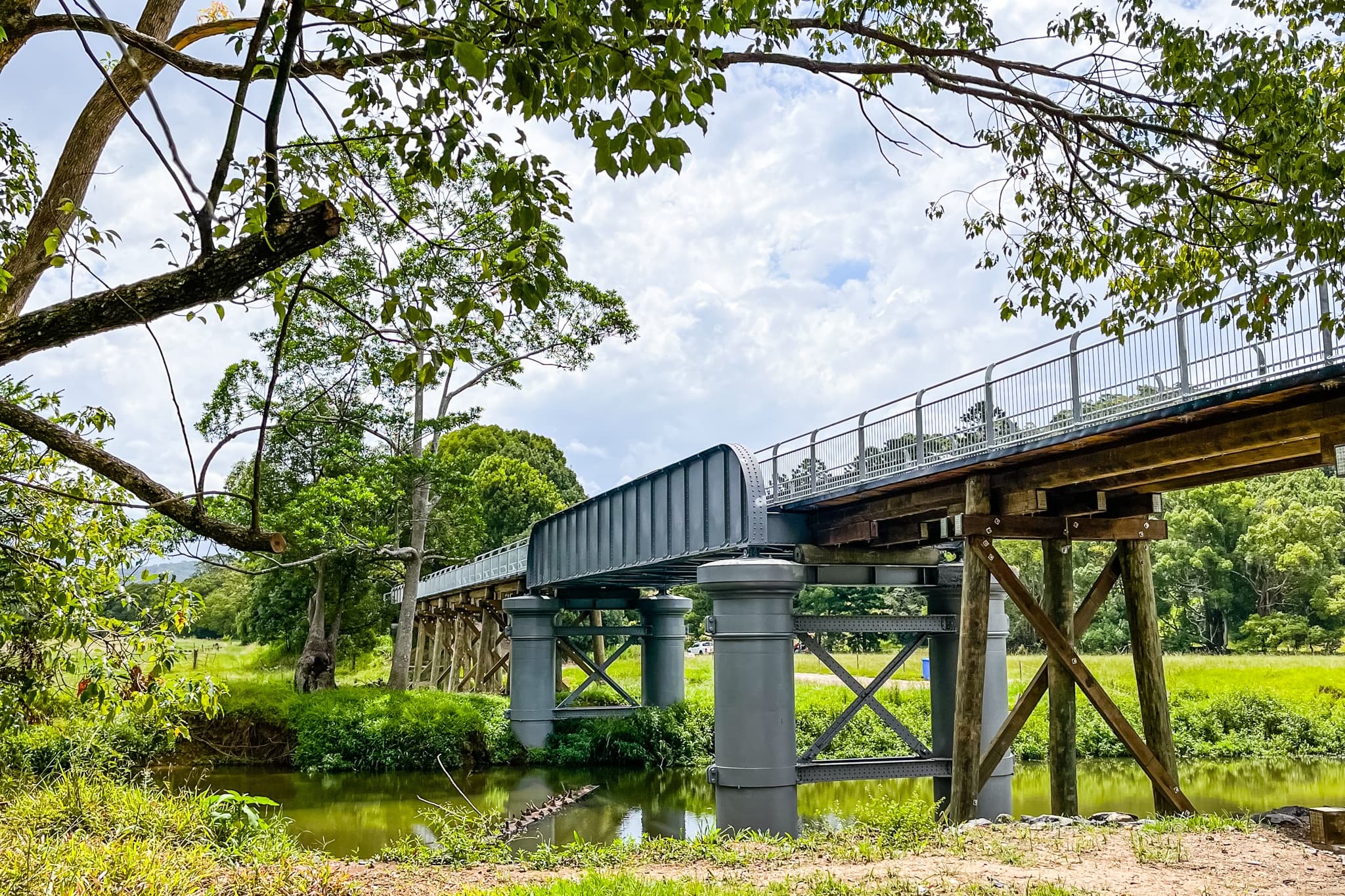 Explore Mooball's Husk Distillery and Rainforest on a Self-Guided E-Bike Tour photo 4
