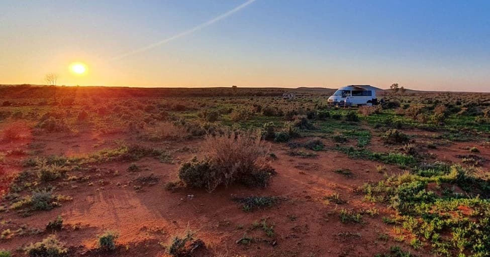 Explore Silverton’s Outback on a 30 Minute Camel Ride Adventure