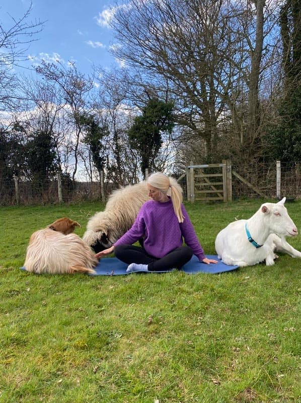 Woman practicing outdoor goat yoga seated on grass field