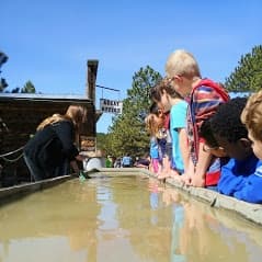 Gold Panning Adventure at Hidee Gold Mine, Central City