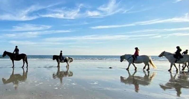 Horse Riding Lessons at Tiree Equestrian, Scotland