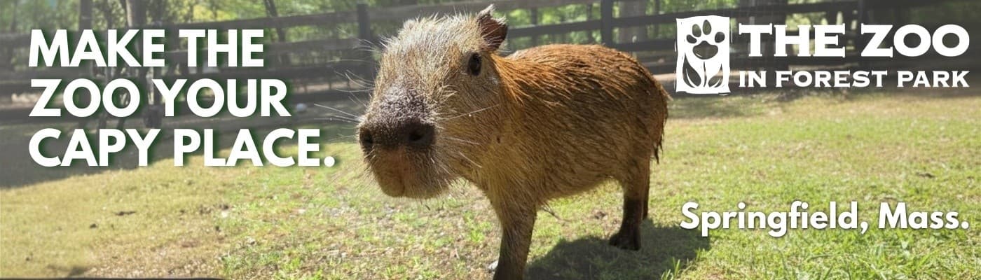 Up-Close Capybaras: 30-Minute Encounters at The Zoo in Forest Park, Springfield