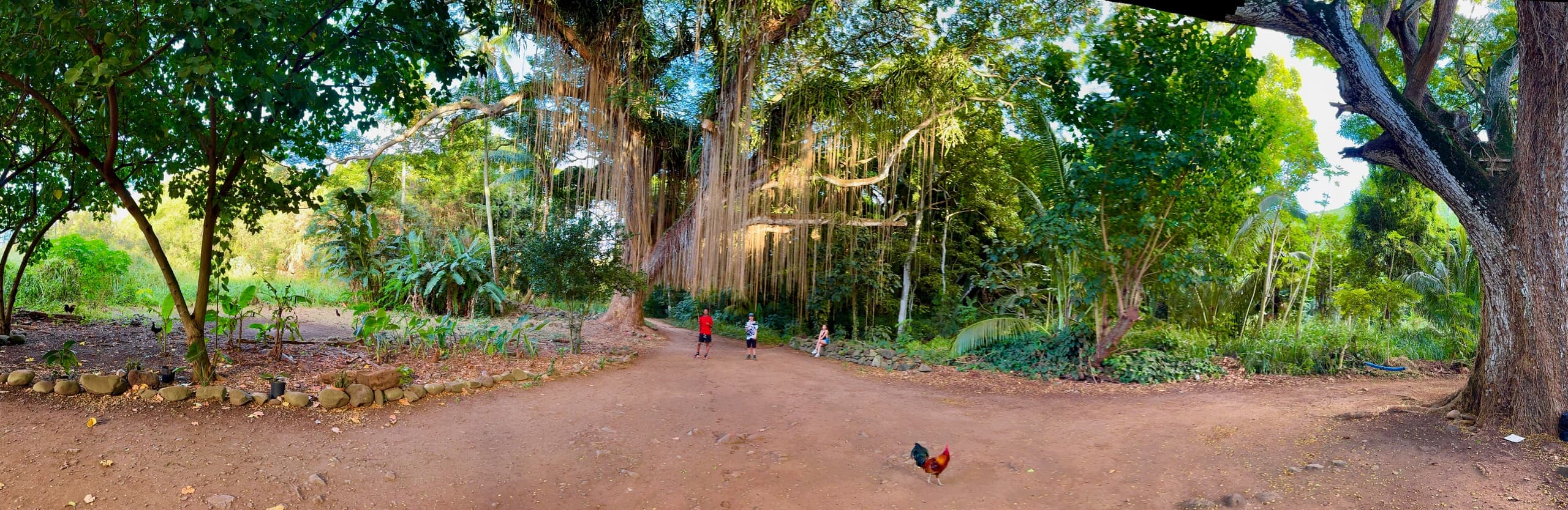 Land Adventures with JourneyJill LLC in Maui