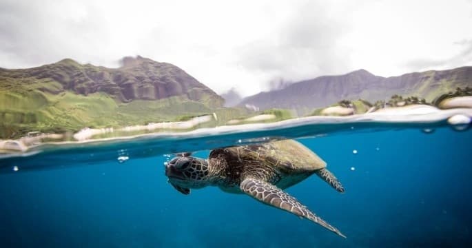 Water Activities & Manny's Diving Adventures: Unforgettable Dives