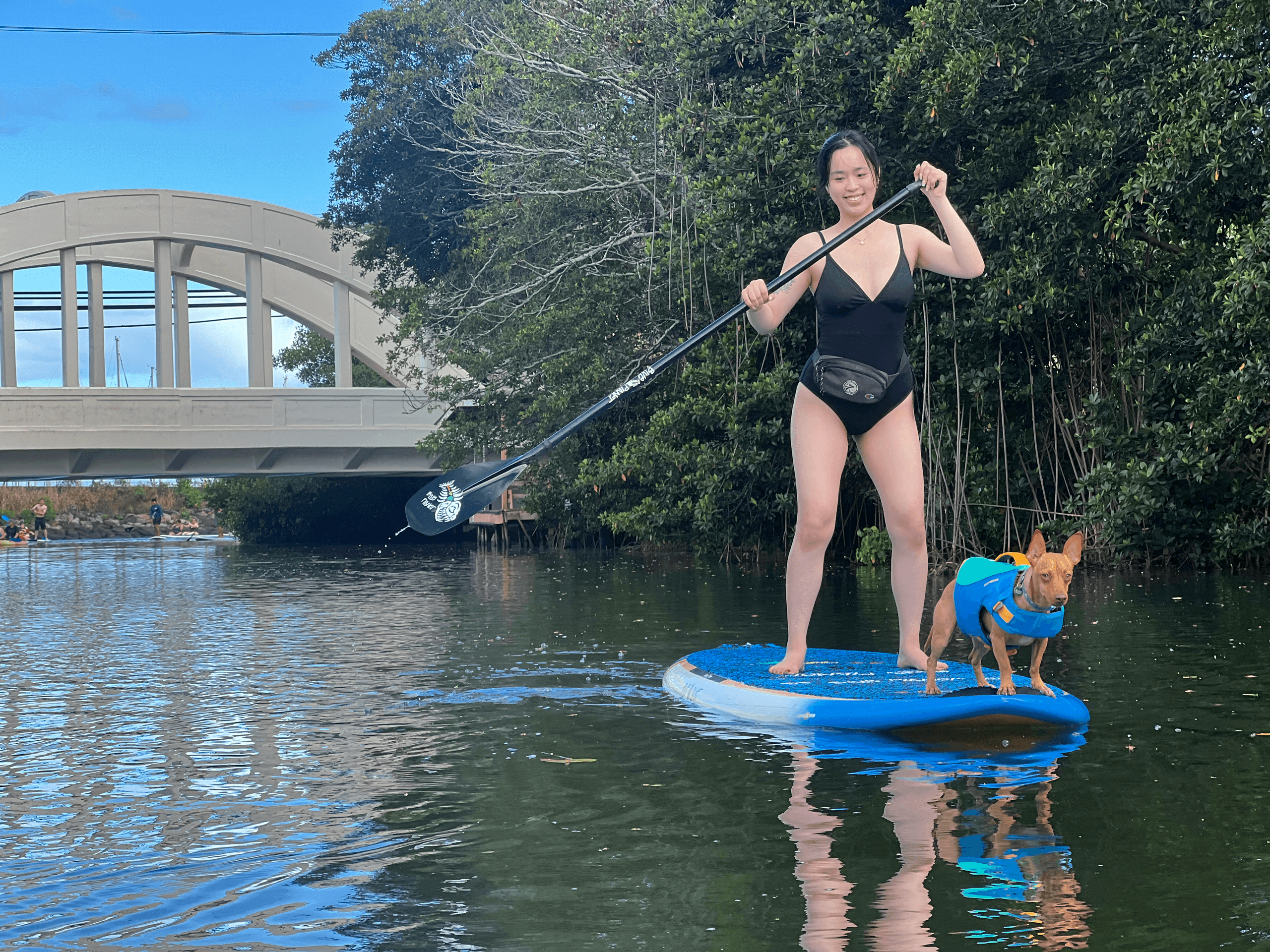 Woman paddleboarding with small dog near bridge in calm river