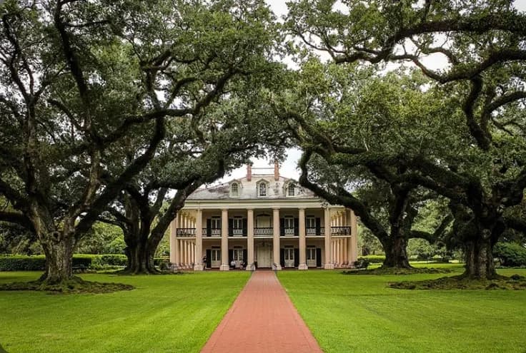 Historic Oak Alley Plantation Tour with 2nd Line Tours