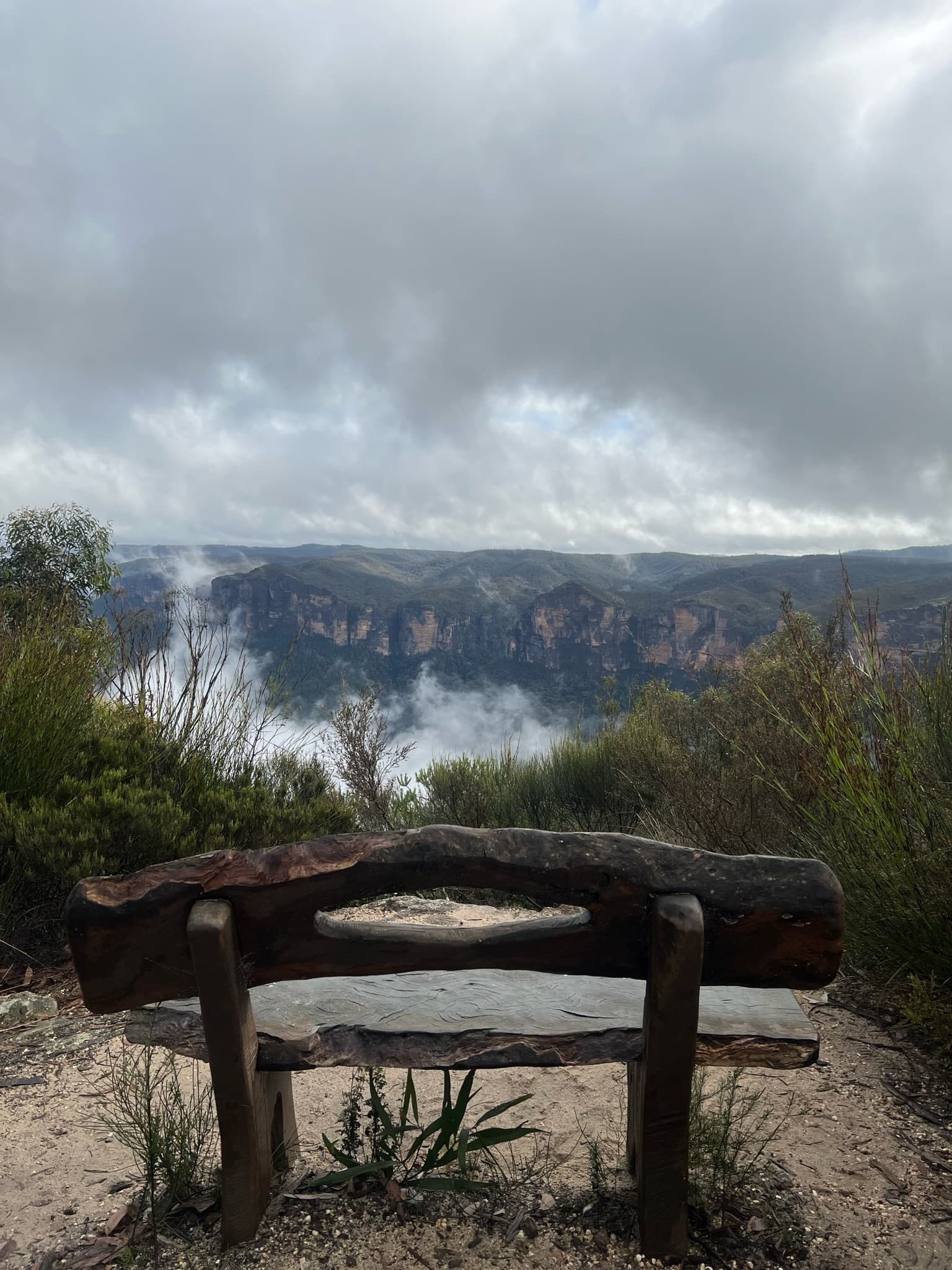Explore Hidden Gems on the Blue Mountains Half Day Guided Tour