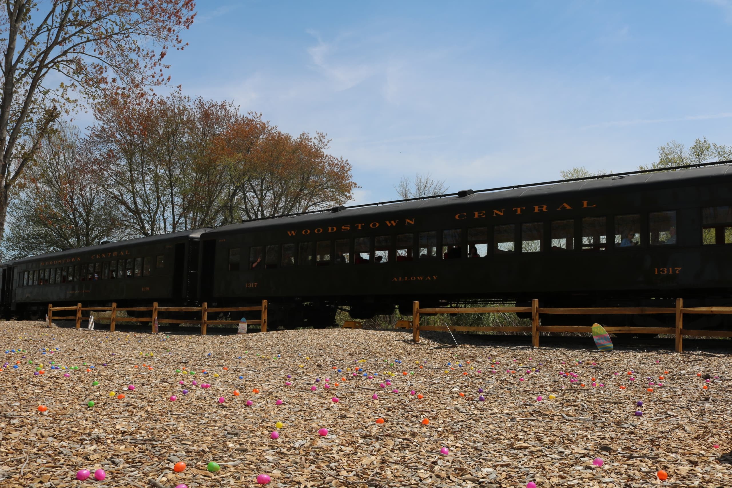 Easter Bunny Express on Woodstown Central Railroad — Deluxe Table Car "Mineral Spring" Family Train Ride photo 2