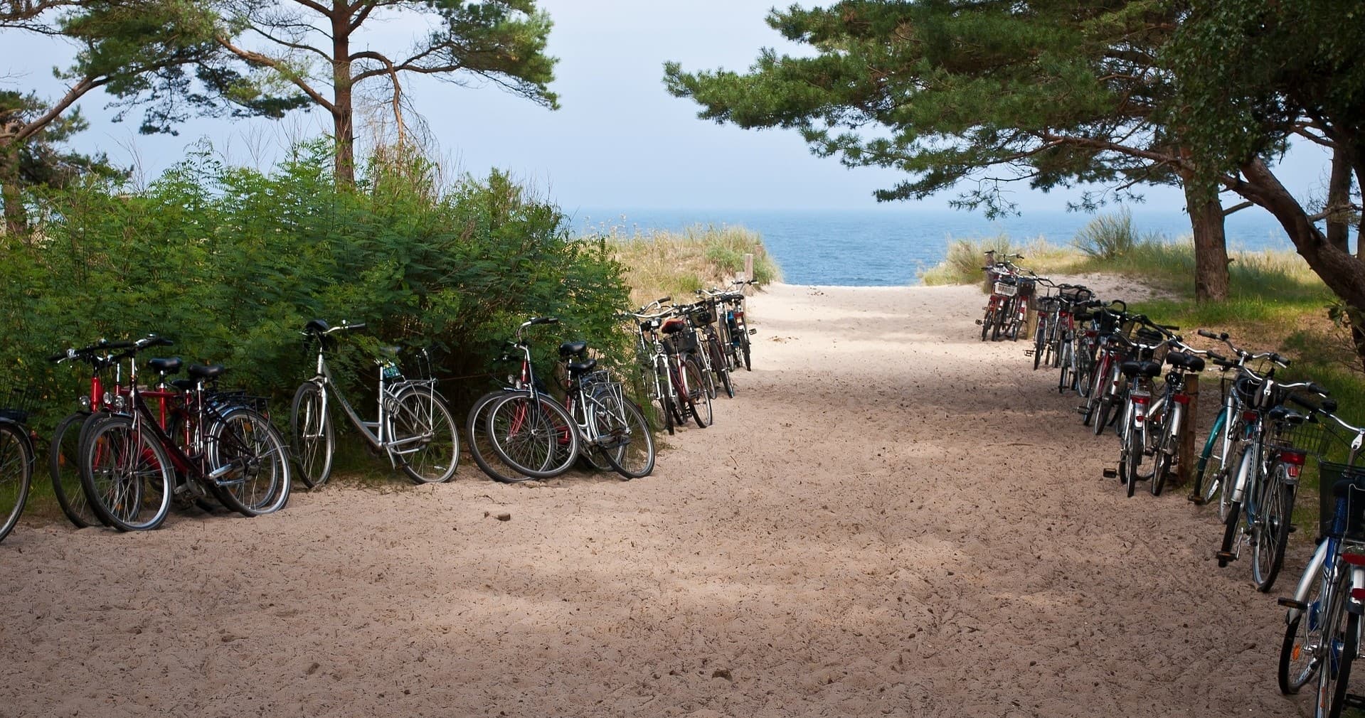 Scenic Two Week Bike Rental on Hilton Head Island