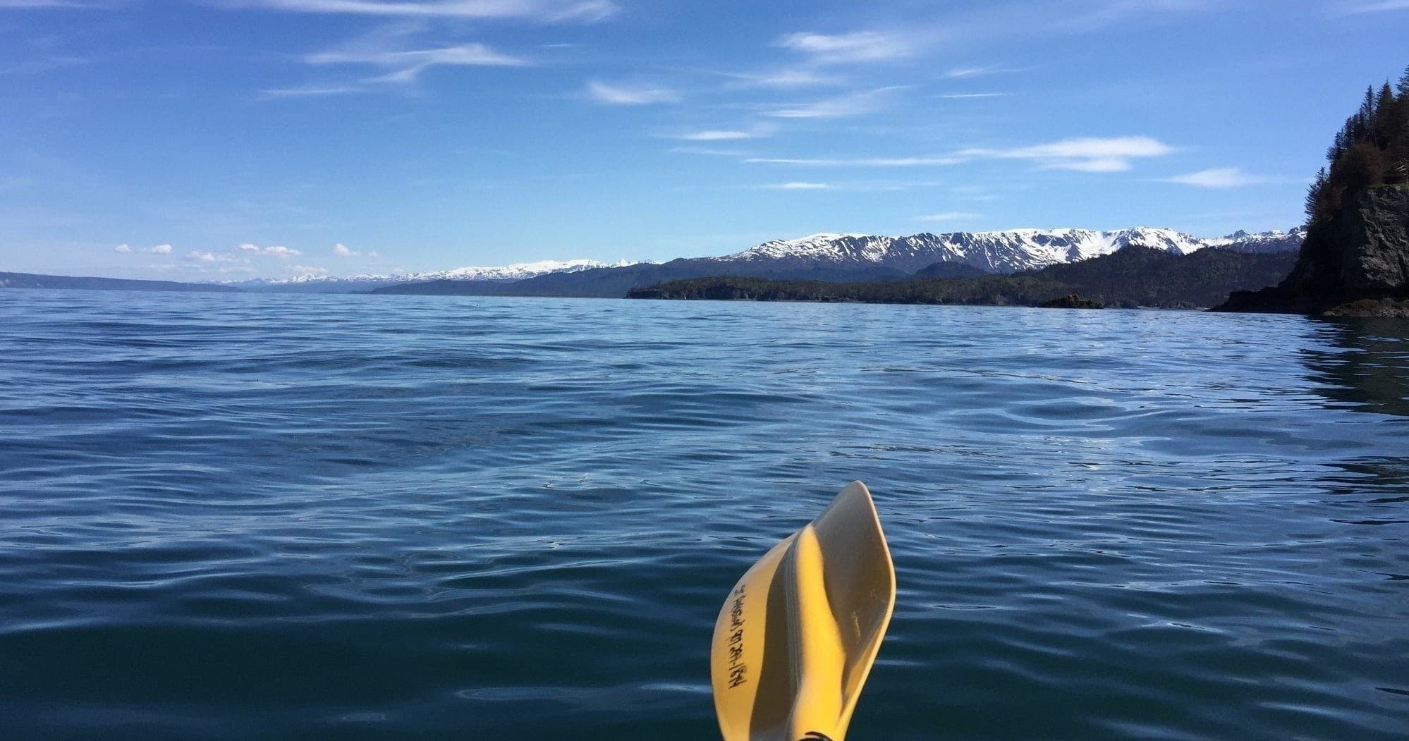 Go With The Flow : Kayaking Tour