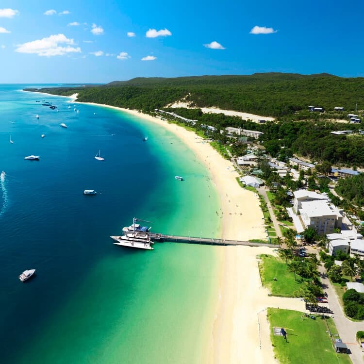 Tangalooma Resort — Moreton Island Dolphins, Wreck Snorkel & Sandboarding Guide