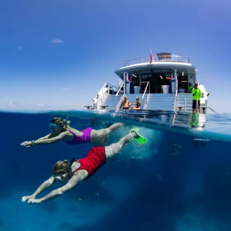 Cairns Quicksilver Outer Great Barrier Reef Luxury Catamaran Cruise & Snorkel