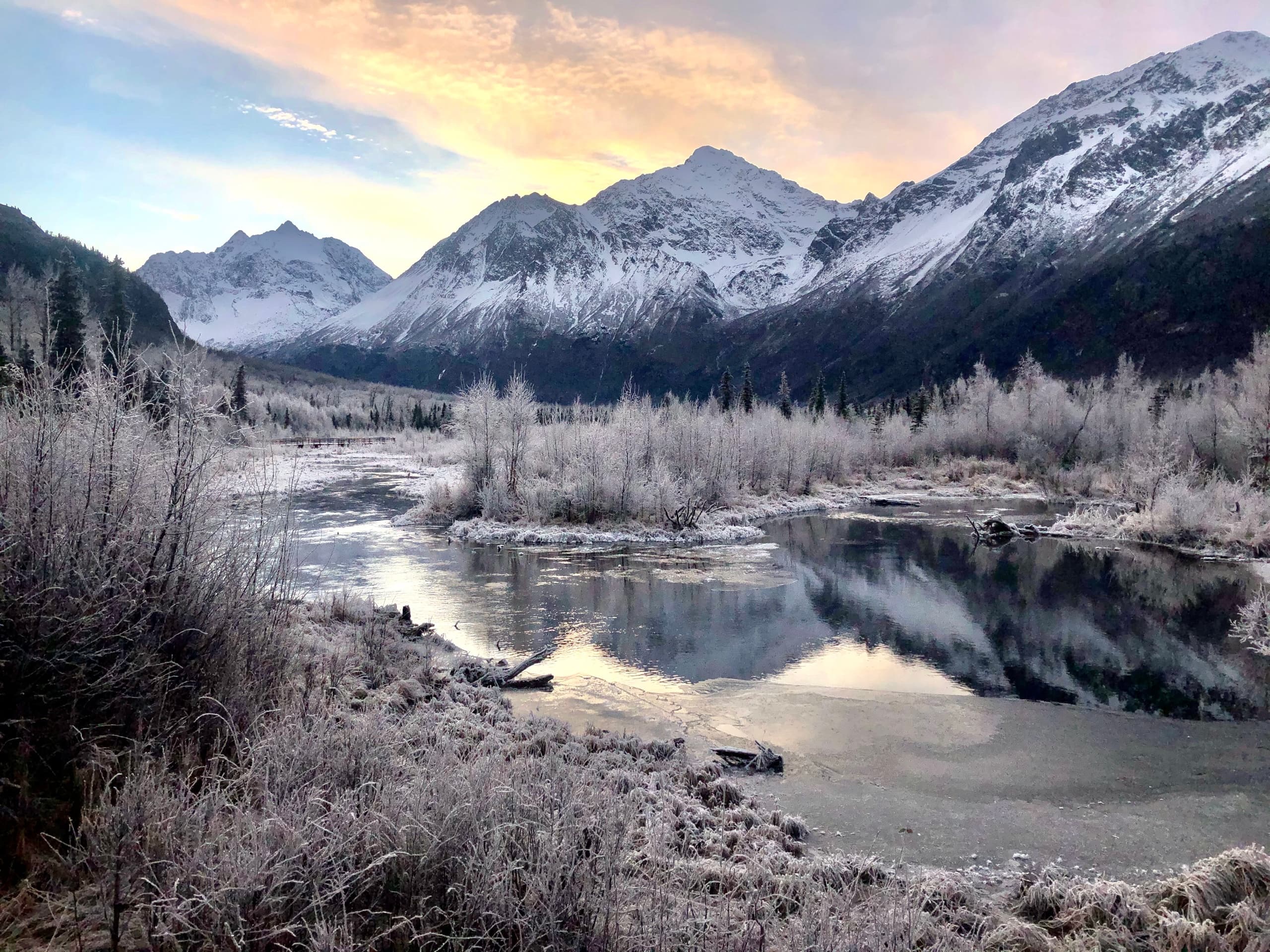 Winter Valley & Forest Hike with Hike Alaska in Anchorage