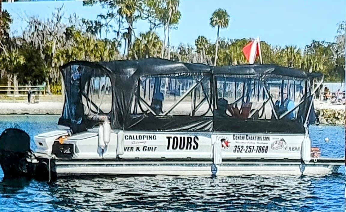Covered tour pontoon boat docked on coastal inlet for sightseeing