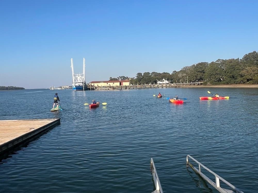 Explore Skull Creek: A 1.5-Hour Kayaking Tour Through Hilton Head Island's Marshes