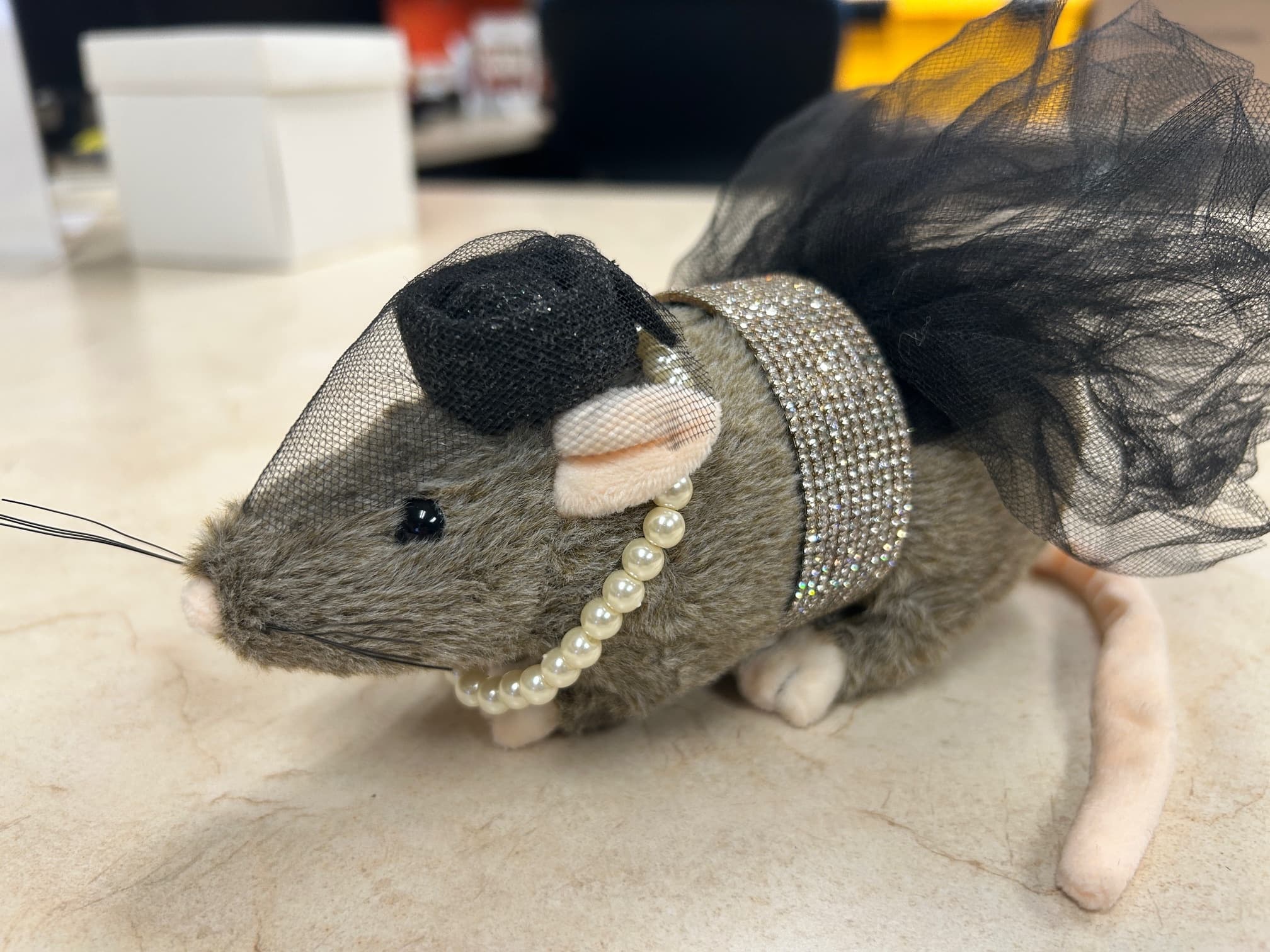 Vermin in Vogue: Rat Runway Craft Workshop in Midland, Michigan photo 1