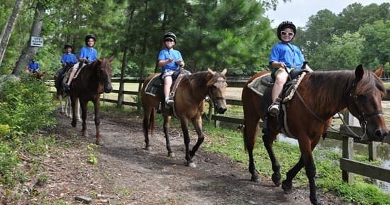 Inlet Point Plantation team
