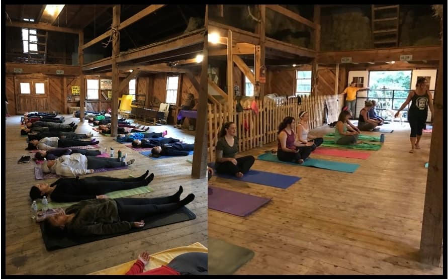 Winter Animal Activities at Goat Yoga in the Barn
