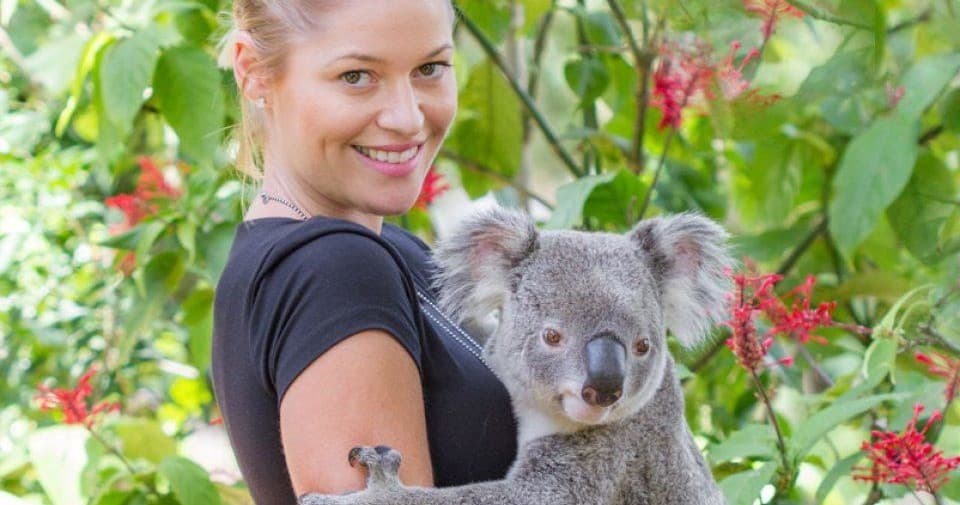 Surf and Wildlife Adventure at Palm Beach: Gold Coast’s Australiana Package