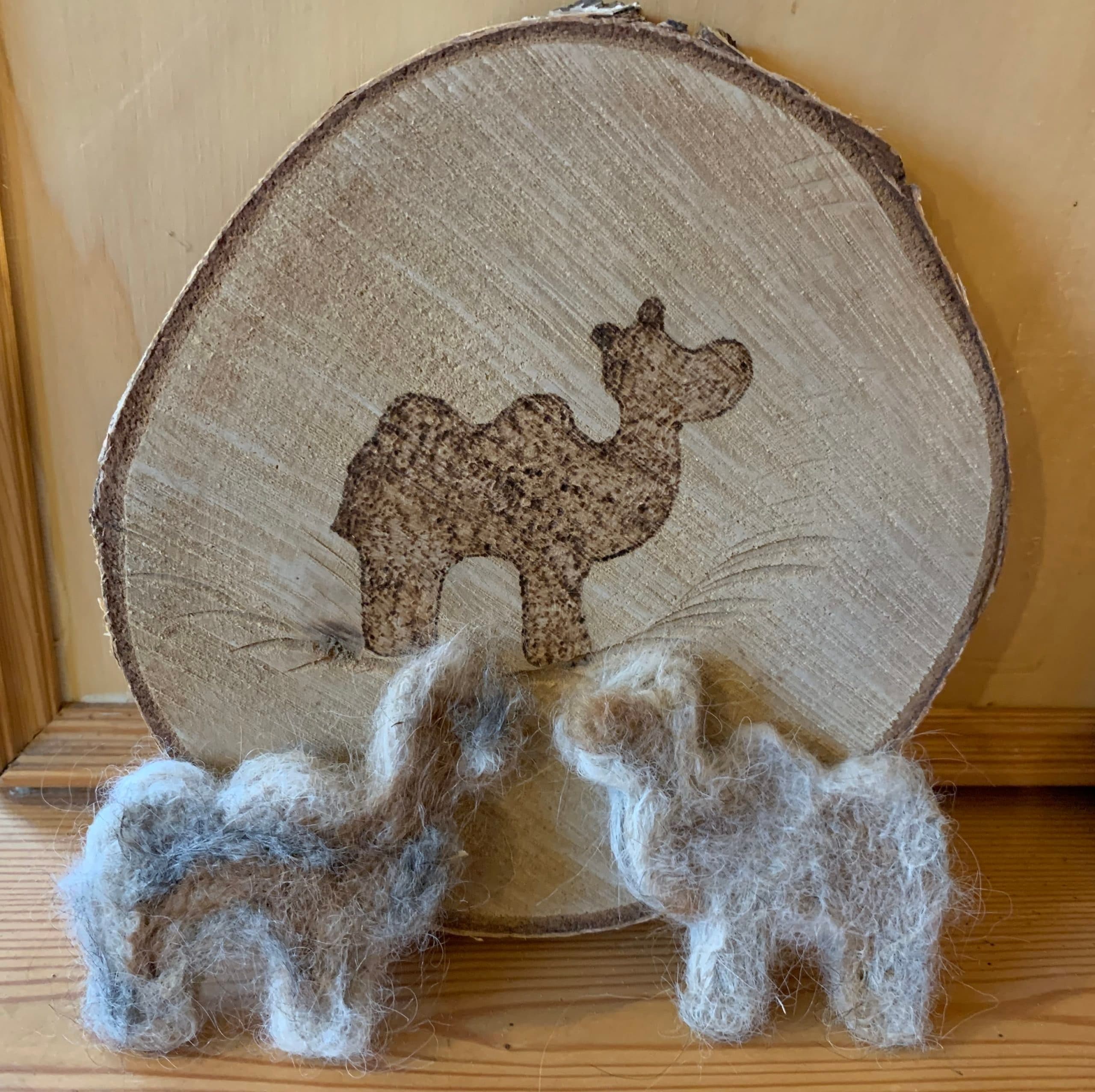 Trockenfilzen: Felt With Llamas and Alpacas in Schönau-Berzdorf