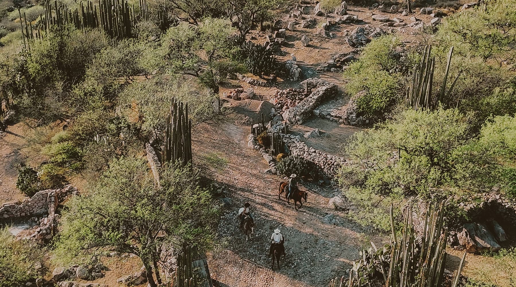 Saddle Through Guanajuato: Group Afternoon Trail Ride in Marroquín de Abajo photo 2