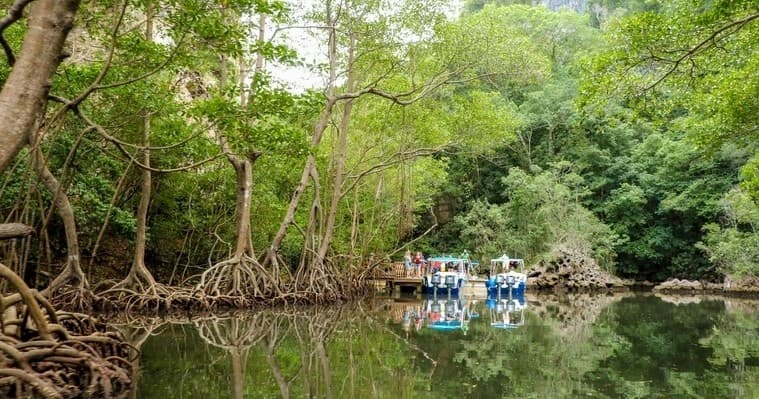 Exploring Los Haitises and Montaña Redonda: A Nature and Culture Expedition in the Dominican Republic