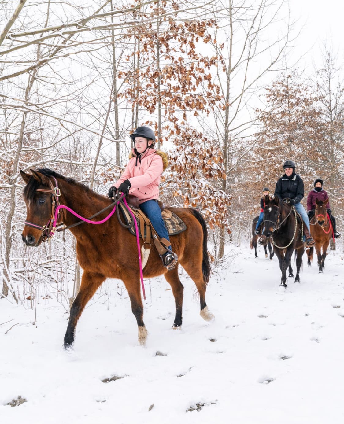 Horseback Riding Business - BRF Stables in Forested Area