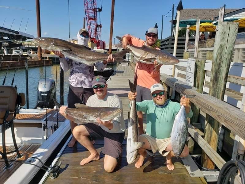 Offshore Fishing Adventure with All in One Charters