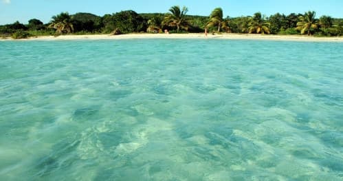 Shallow turquoise Caribbean waters by tropical beach, ideal for snorkeling