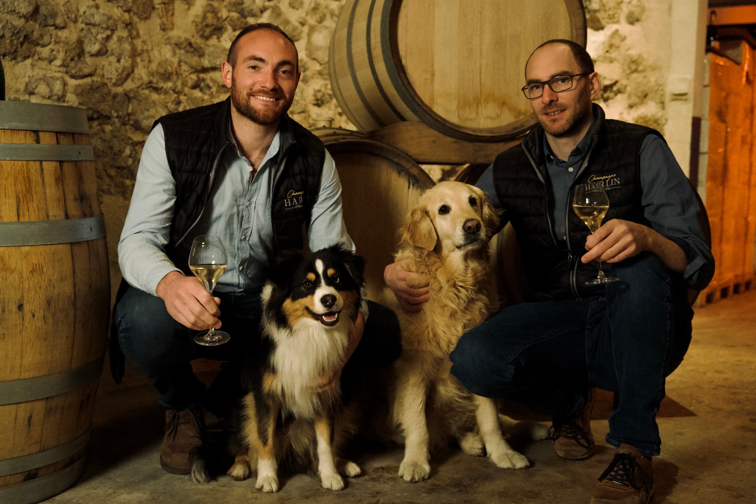 Two winemakers posing in cellar with wine glasses and dogs