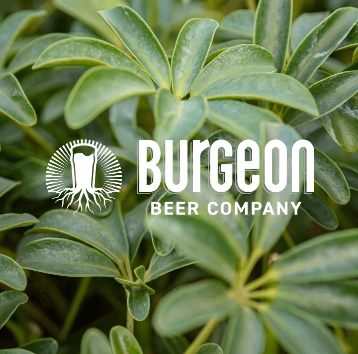 Make Your First Bonsai at Bonsai Bar @ Burgeon Beer Company — 2‑Hour Carlsbad Workshop