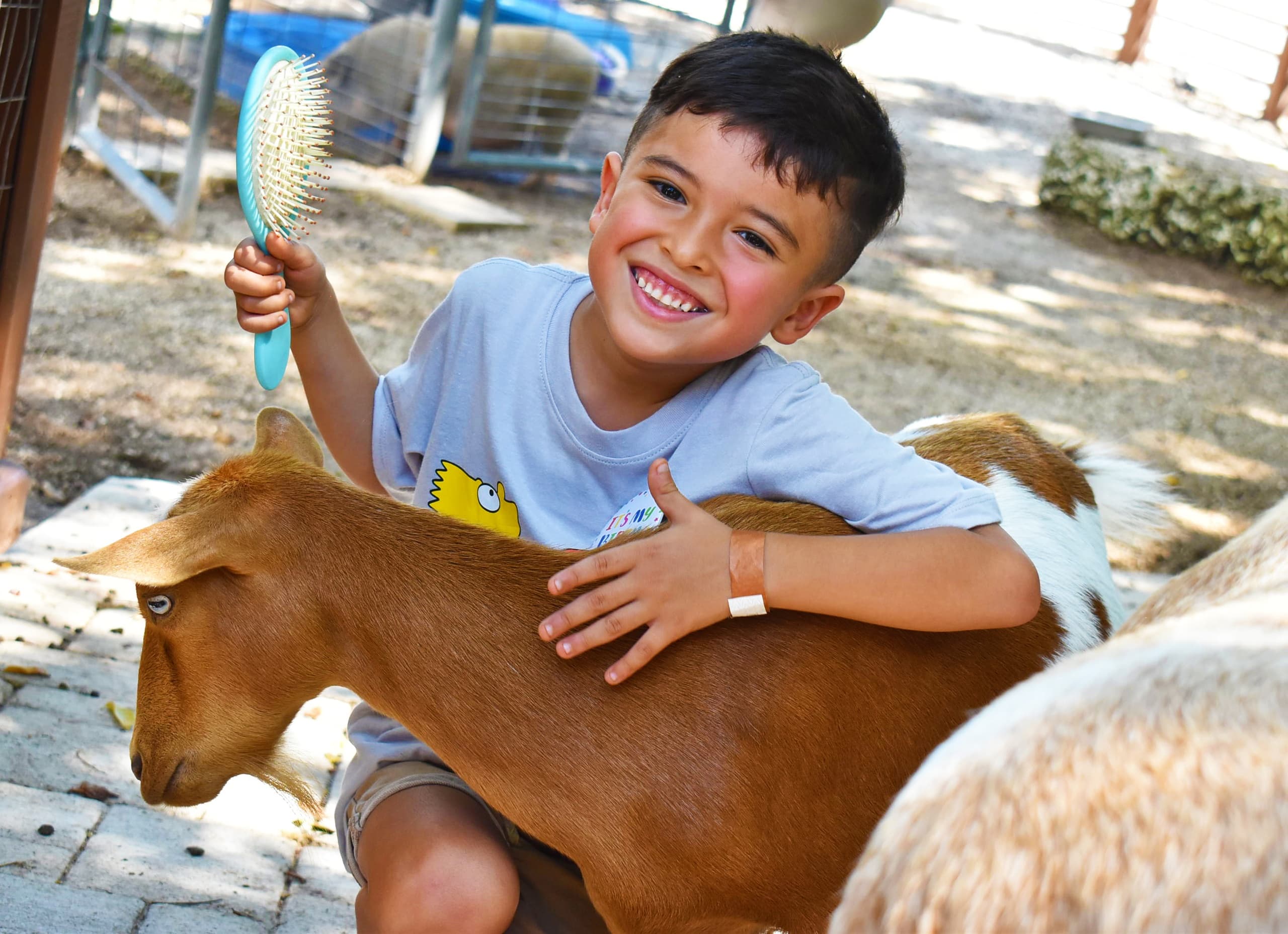 Explore Miami's Petting Zoo Encounter at Jungle Island: A Memorable Family Wildlife Experience