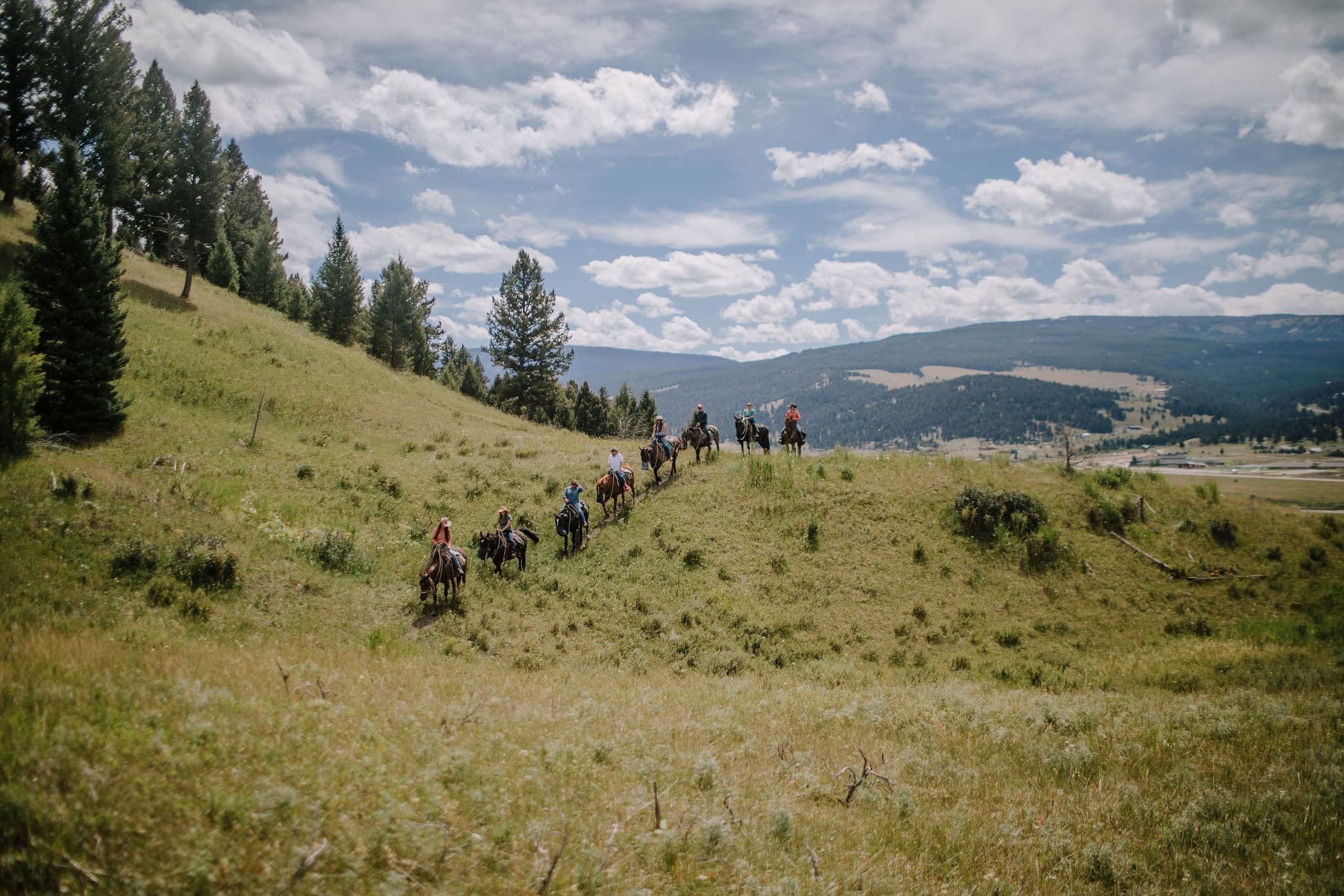 Canyon View Ride: Gentle Horseback Trails at Gallatin Gateway, MT