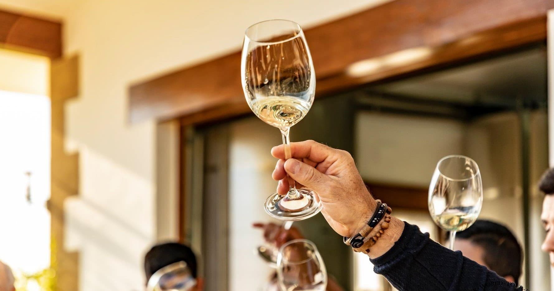 Txakoli Wine Tasting & Pintxos with Delight Bilbao