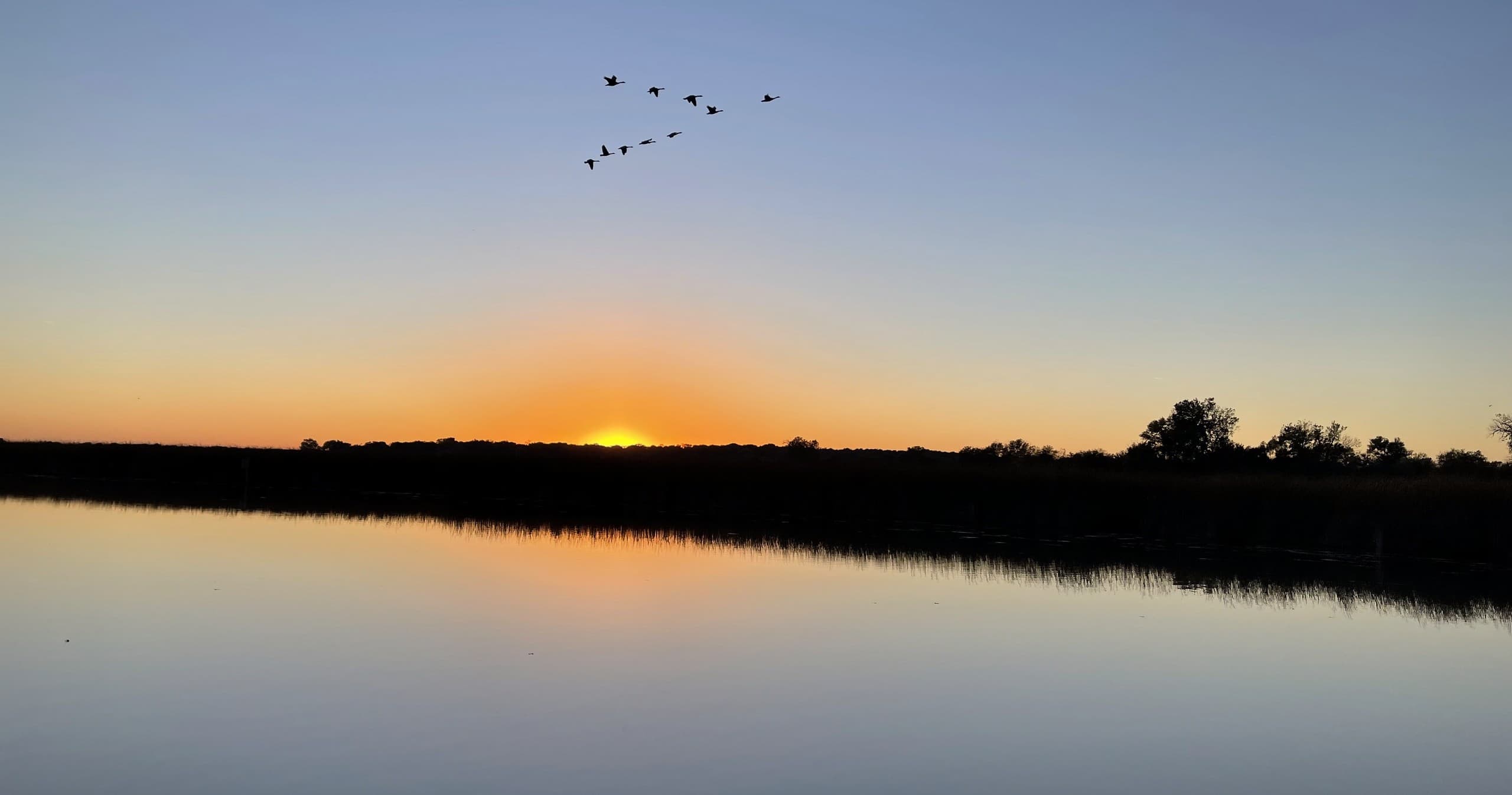 Chain O Lakes Boat Tours: Scenic Birdwatching & Sunset Cruises in Antioch