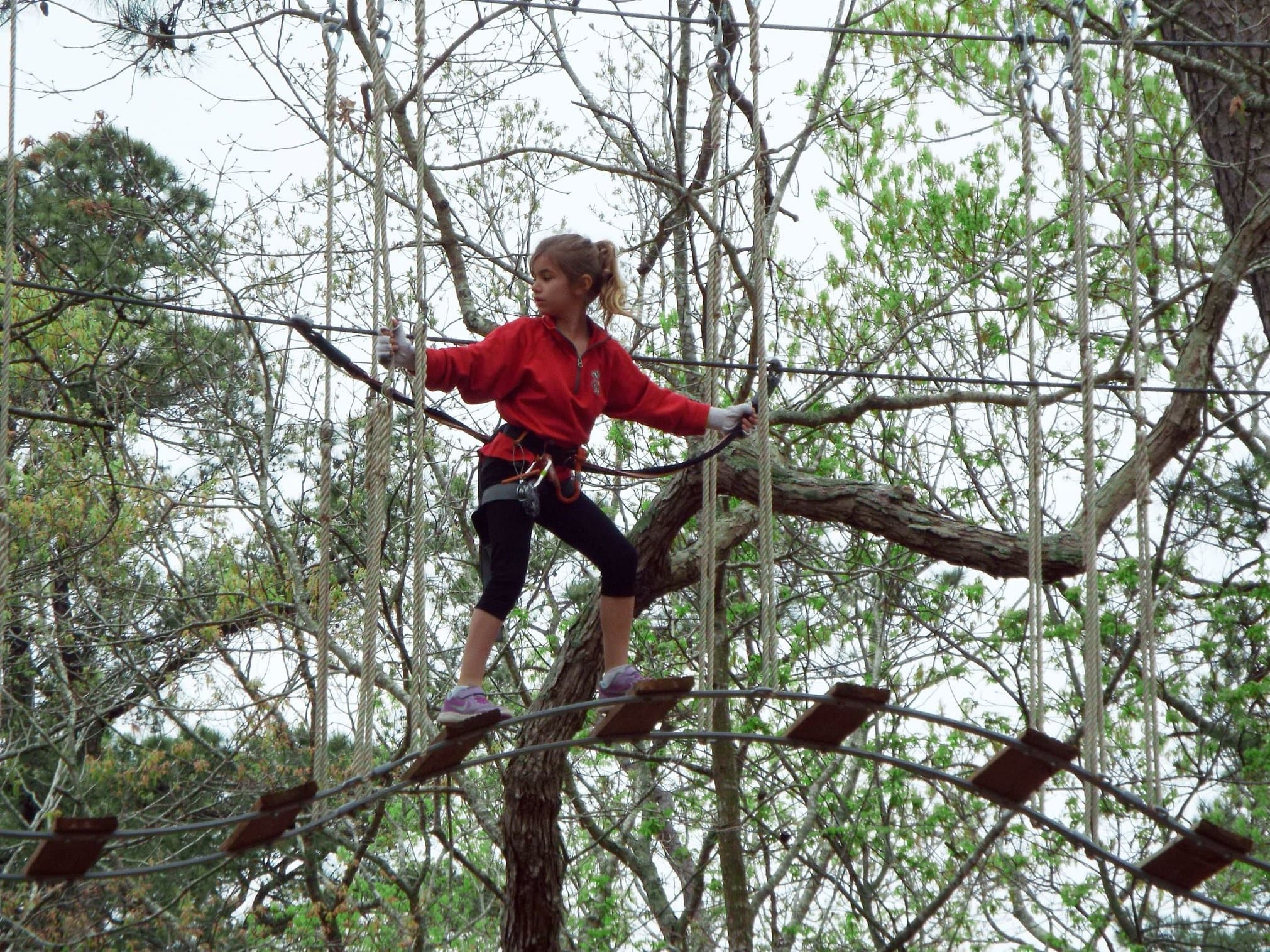 Kids Treetop Adventure Course in Middle Township, NJ