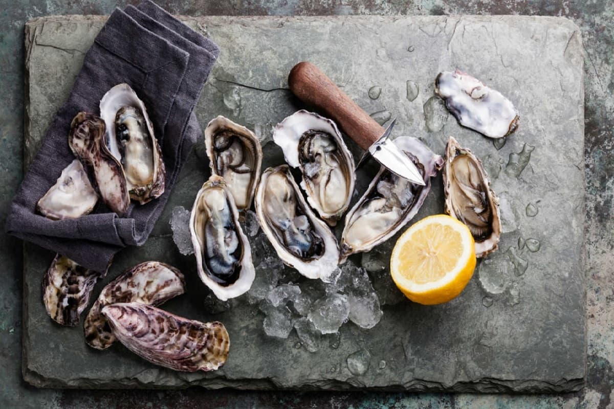 Sailing & Oyster Tasting in Barcelona with BDA Sailling