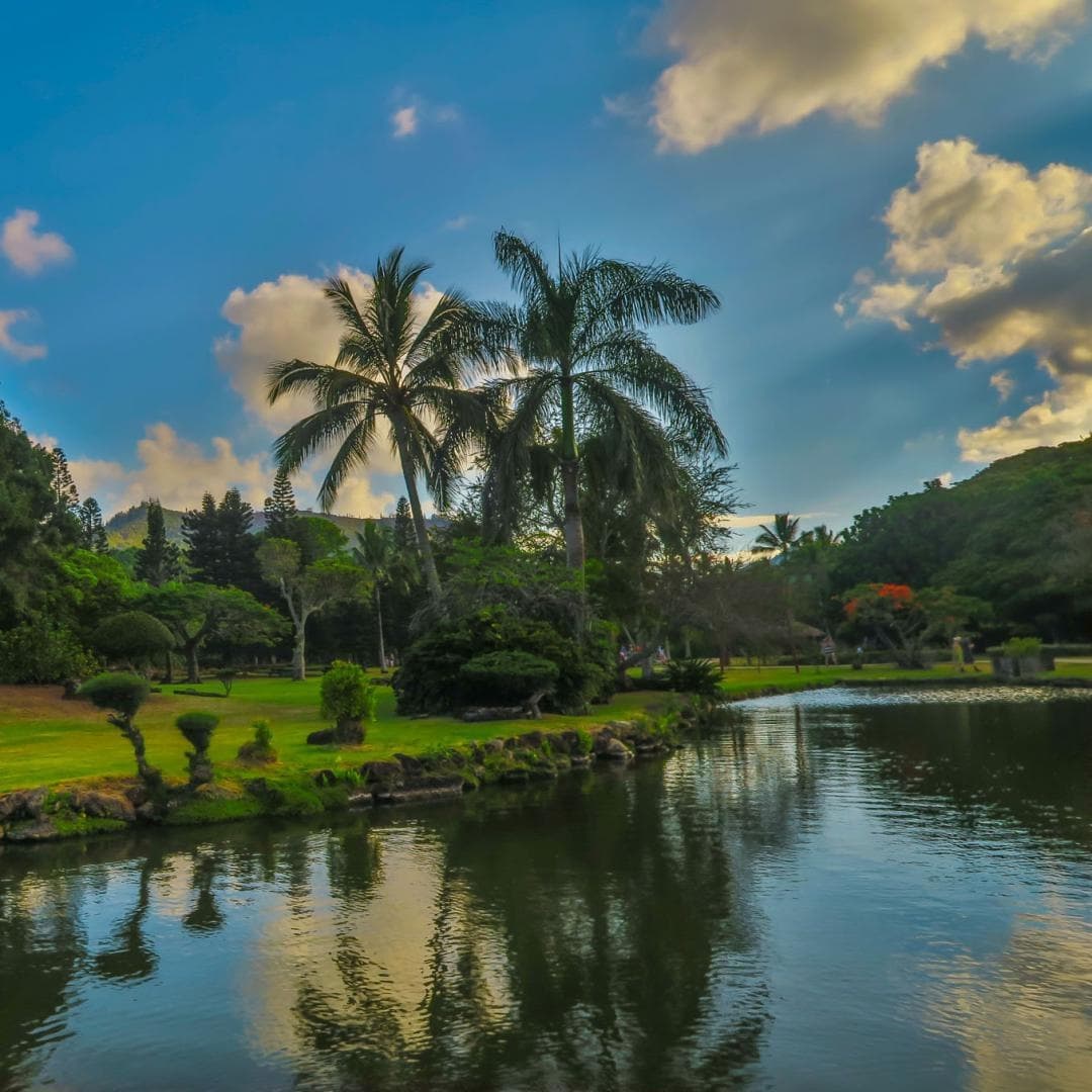 Lush palm-lined pond and lawns at Hawaiian botanical park