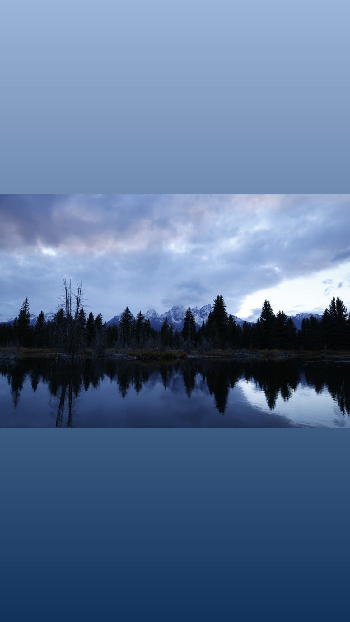Private Grand Teton Scenic & Wildlife Tour — Custom Wildlife Viewing from Jackson photo 4