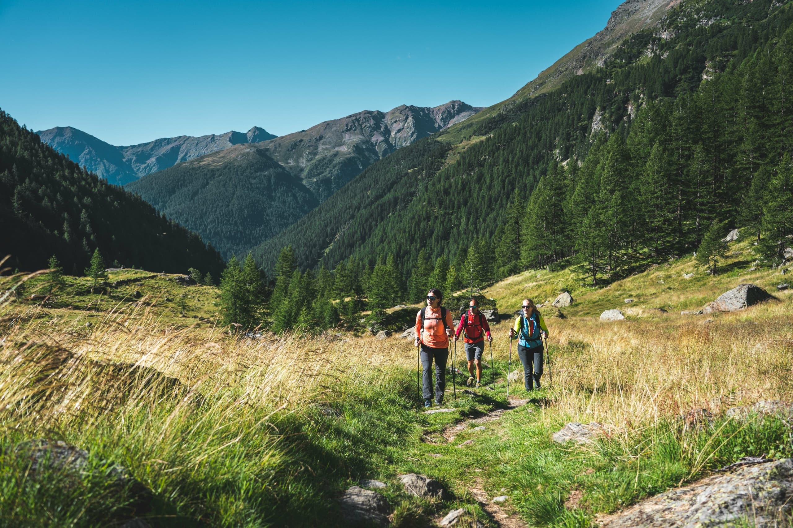 Hiking in Stelvio National Park with Andar per Monti