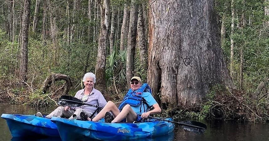Two recreational kayakers paddling near cypress tree on riverbank