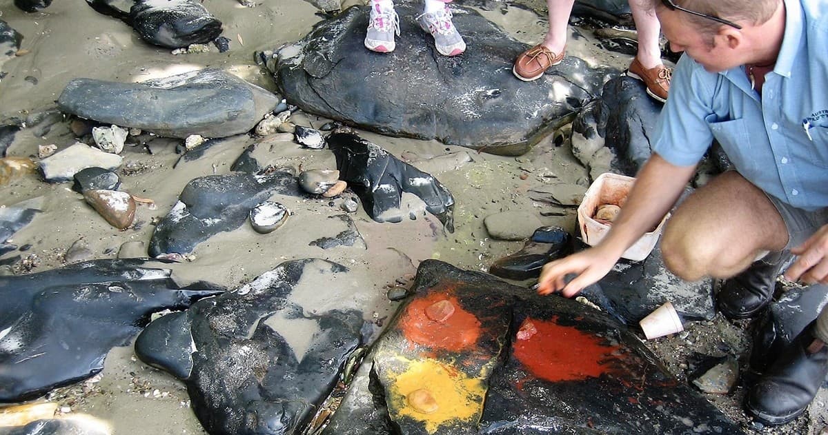 Land Adventures: Private Daintree Wanderer with Aboriginal Experience