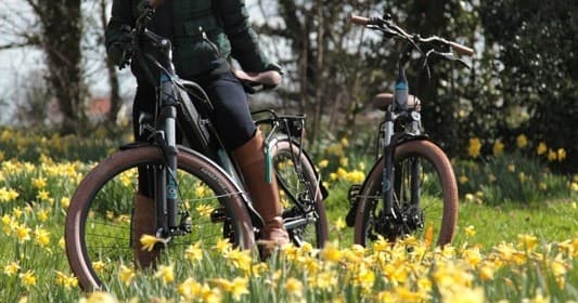 Bike Rentals with Yolo Bikes Limited in the Heart of the Outdoors