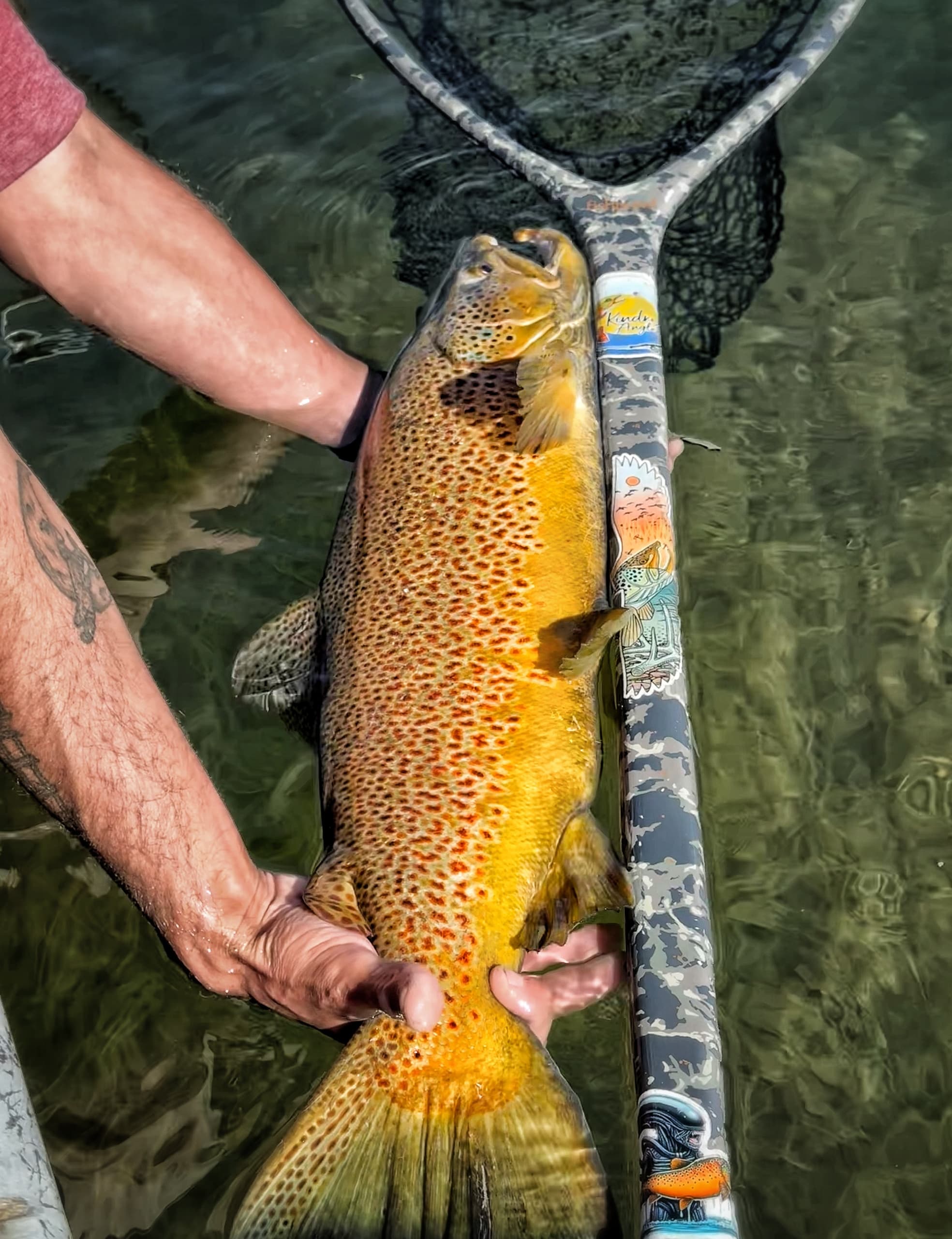 Fishing Adventure in Dacono with Kindred Anglers LLC
