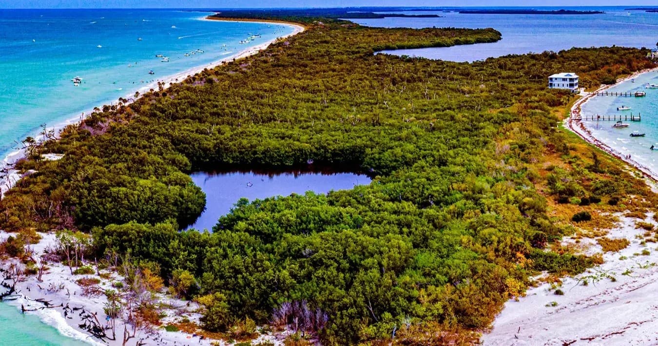Barrier island aerial with mangrove lagoons and sandy beaches