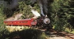 Steam locomotive pulling scenic redwood forest excursion train