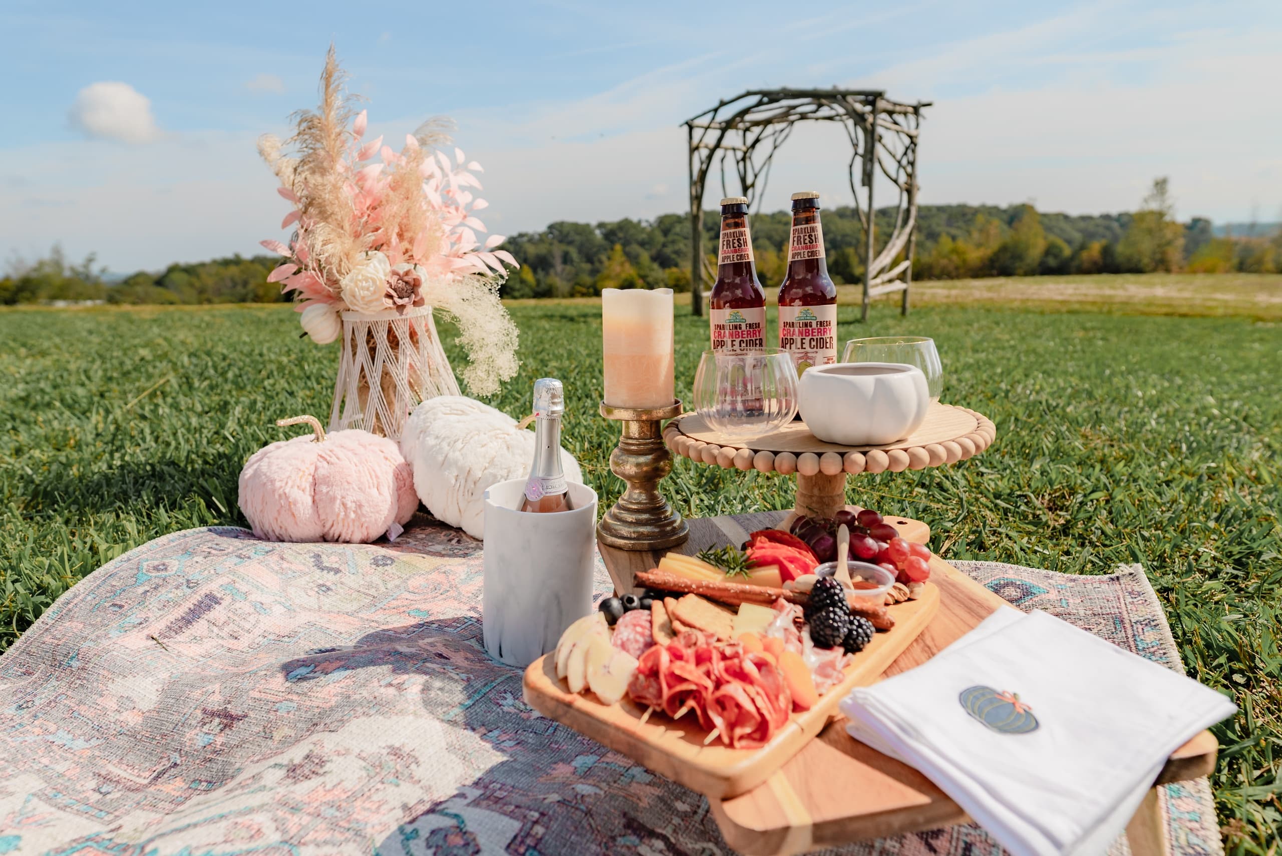 Romantic Scenic Flight & Picnic in Sevierville, TN