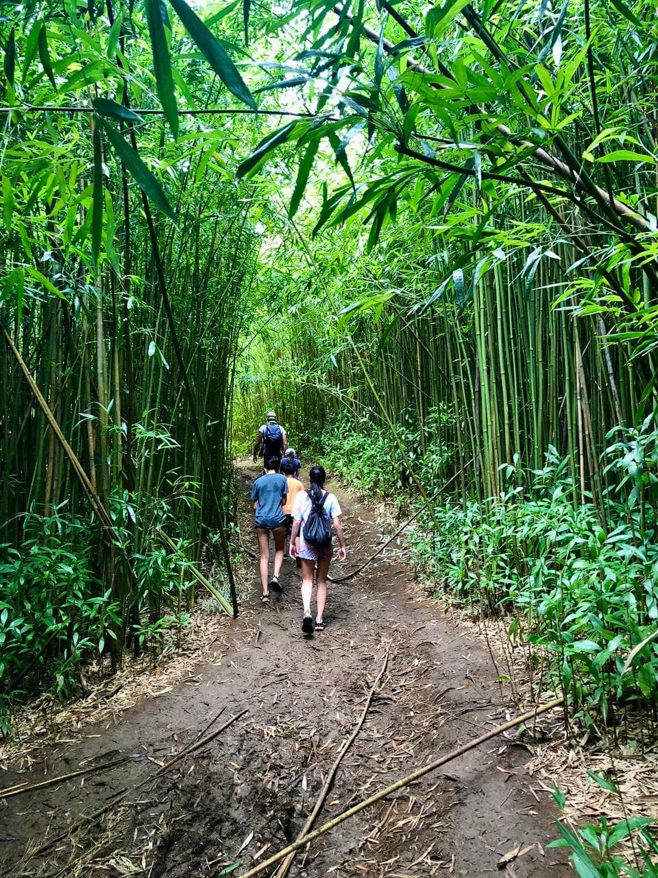 Explore Bamboo Falls Hike in Paia, Hawaii