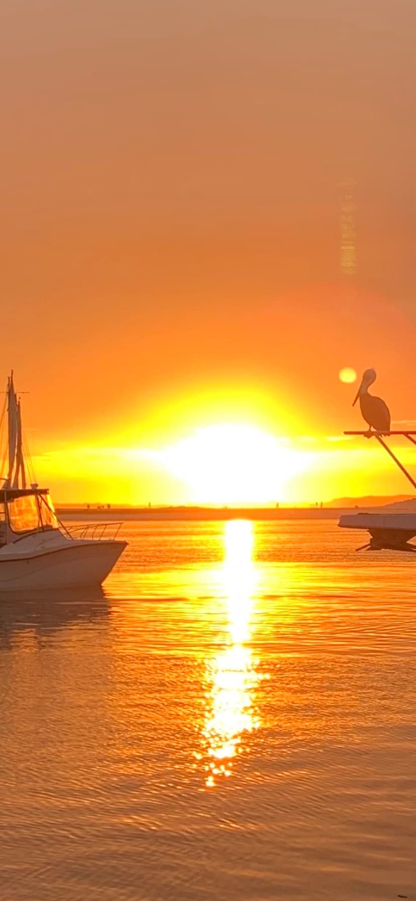 Water Activities & Vitamin Sea Sailing Charters in Destin