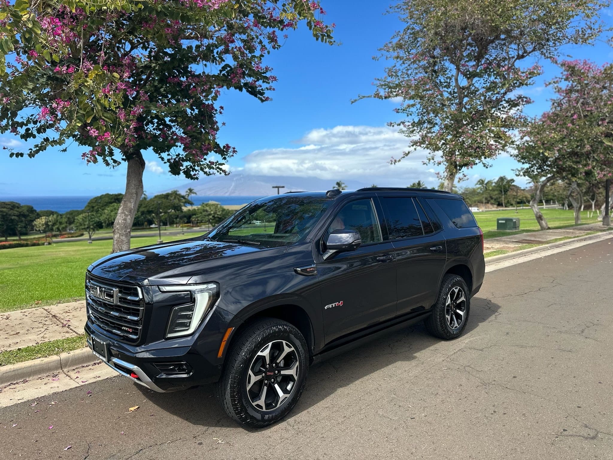 Half Road to Hana: Luxury Private SUV Tour from Kihei